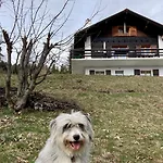 Le Lezard Et La Grenouille Bed & Breakfast 3*