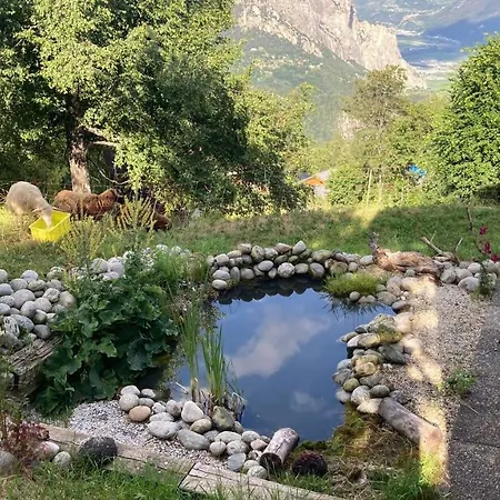 Le Lezard Et La Grenouille