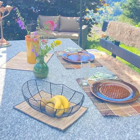 Le Lezard Et La Grenouille 3* اوفروناز