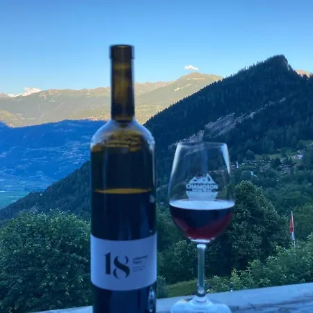 فندق مبيت وإفطار Le Lezard Et La Grenouille 3*