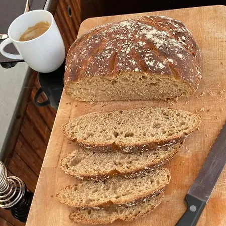 Le Lezard Et La Grenouille 3*