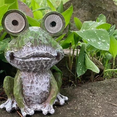 Bed & Breakfast Le Lezard Et La Grenouille