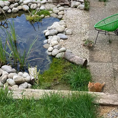 فندق مبيت وإفطار Le Lezard Et La Grenouille