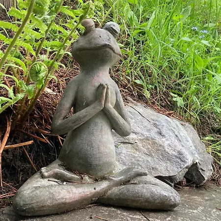 Bed & Breakfast Le Lezard Et La Grenouille *