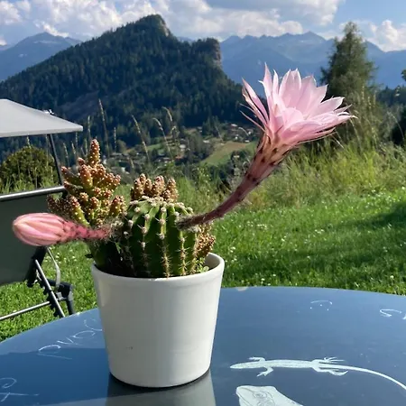 Bed & Breakfast Le Lezard Et La Grenouille Ovronnaz