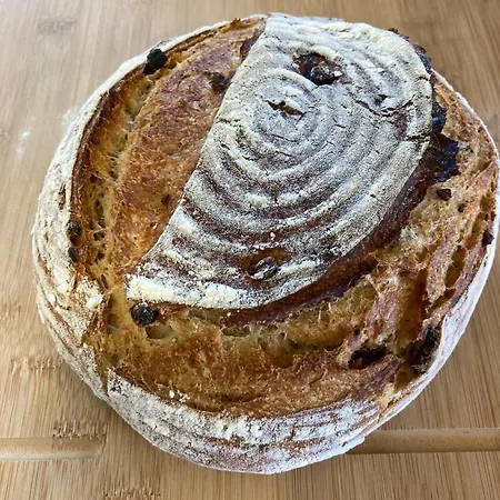 Le Lezard Et La Grenouille اوفروناز