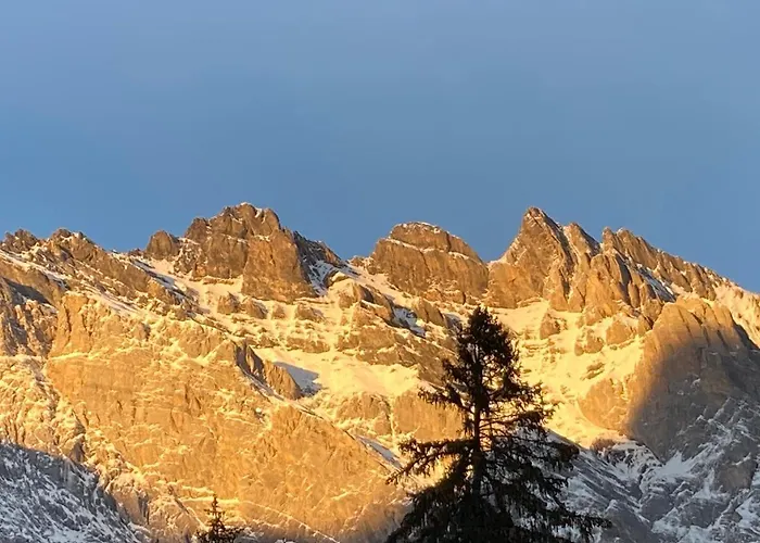 Le Lezard Et La Grenouille Alojamento de Acomodação e Pequeno-almoço