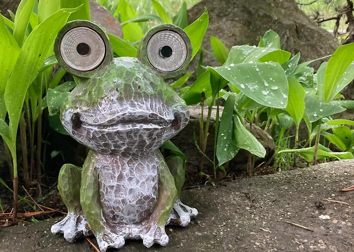 Alojamento de Acomodação e Pequeno-almoço Le Lezard Et La Grenouille