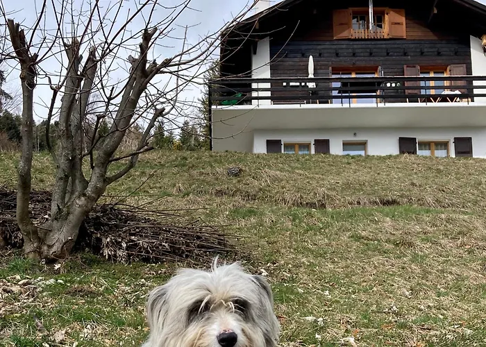 Le Lezard Et La Grenouille Alojamento de Acomodação e Pequeno-almoço 3*