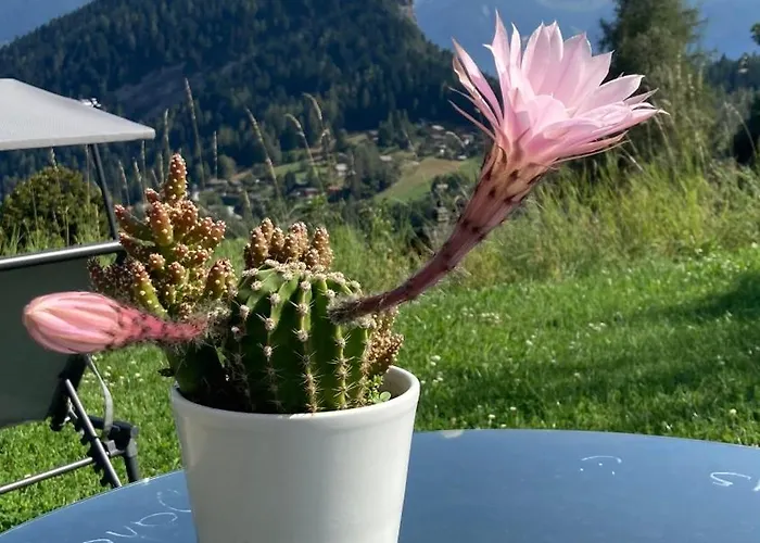 Alojamento de Acomodação e Pequeno-almoço Le Lezard Et La Grenouille Ovronnaz