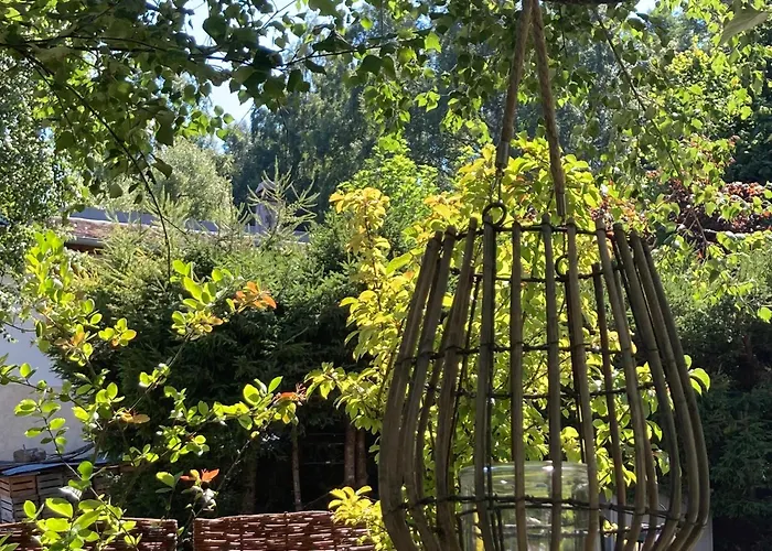 Le Lezard Et La Grenouille 3* Ovronnaz