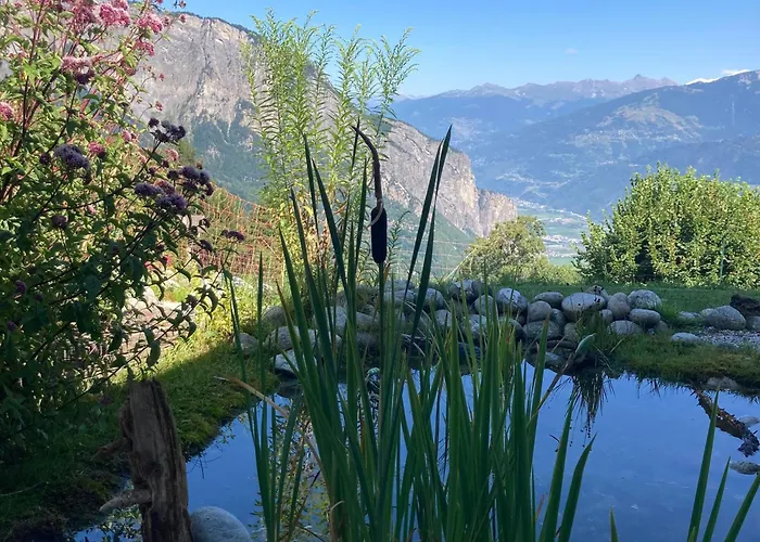 Le Lezard Et La Grenouille Alojamento de Acomodação e Pequeno-almoço