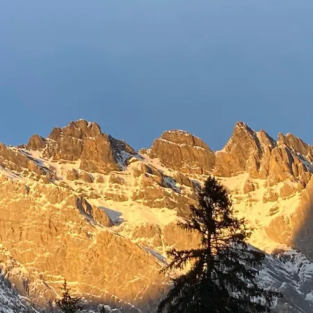 Le Lezard Et La Grenouille 住宿加早餐酒店