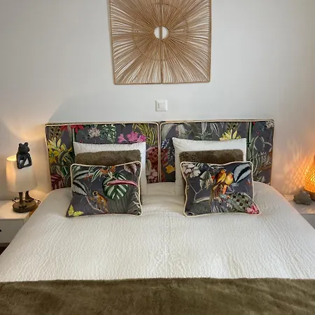 Le Lezard Et La Grenouille