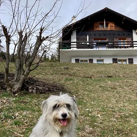 Le Lezard Et La Grenouille Bed and Breakfast 3*