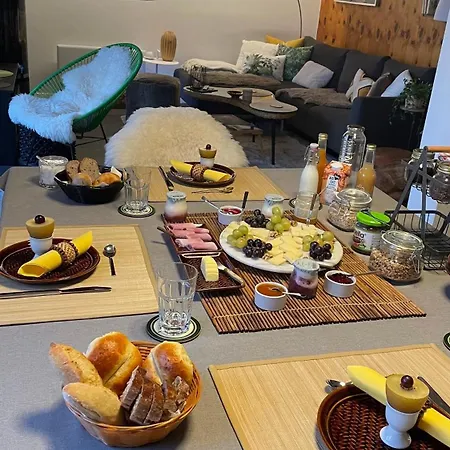 Le Lezard Et La Grenouille Bed and Breakfast Ovronnaz