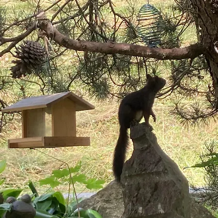 Le Lezard Et La Grenouille 3* 奥瓦伦纳茨