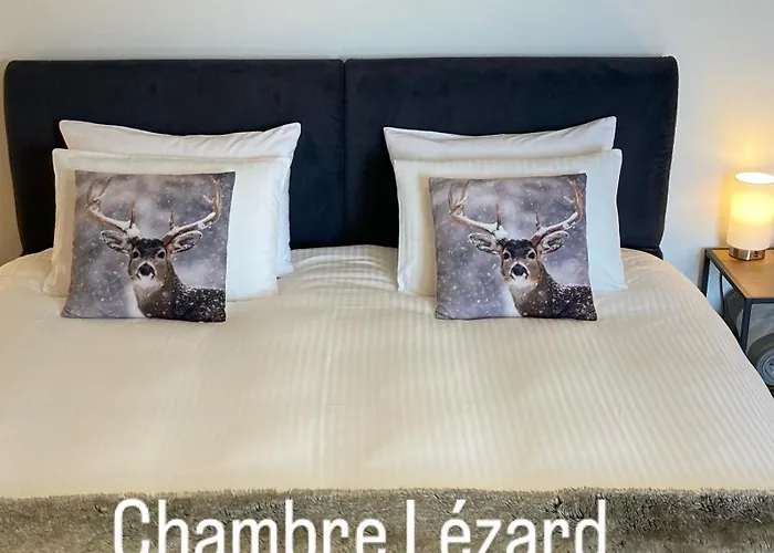Le Lezard Et La Grenouille Отель типа 